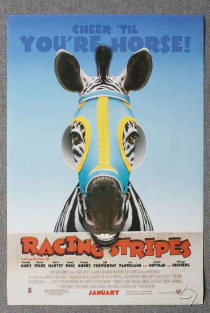 racing stripes.JPG